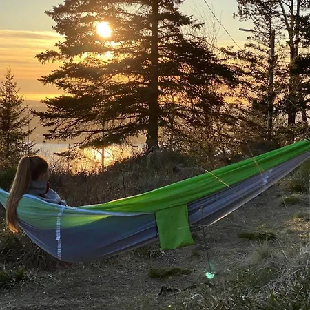 Modern Suites, Excellent Location In The Heart Of *