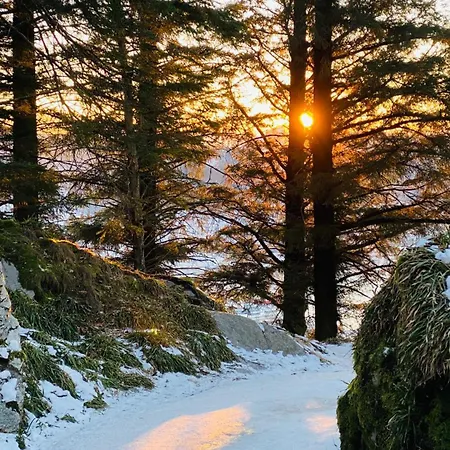 Modern Suites, Excellent Location In The Heart Of Bergen