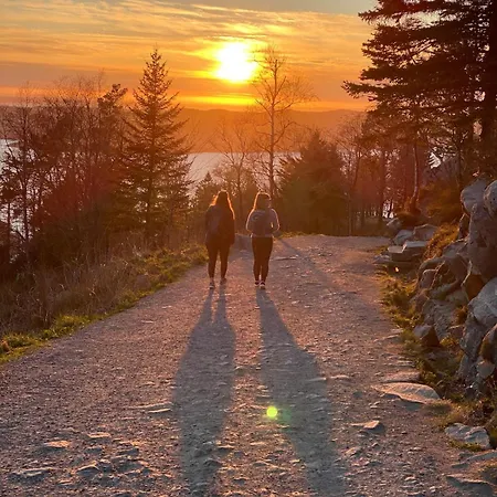 Lejlighed Modern Suites, Excellent Location In The Heart Of *