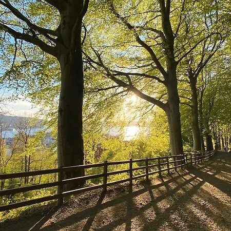 Lejlighed Modern Suites, Excellent Location In The Heart Of Bergen